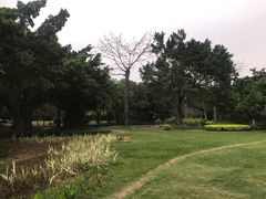 -南宁南湖公园