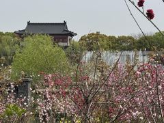 -南汇桃花村