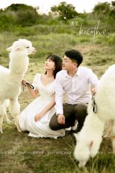 -花漾摄影优选工作室(东莞原创作品店)