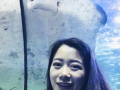 -悉尼海洋生物水族馆