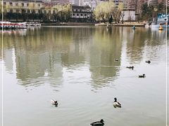 -团结湖公园