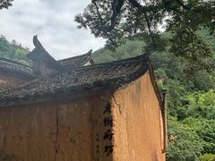 -杨家堂村