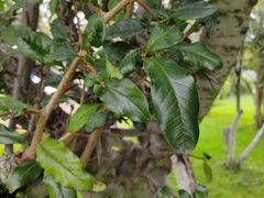 -云南滇池花园国际大酒店温泉