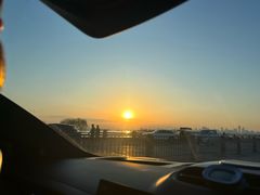 -合肥滨湖国家森林公园