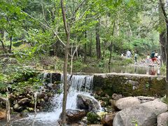 -玉渡山自然风景区