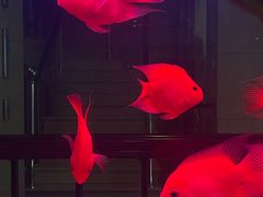 -新疆杭州疗养院·富春山庄