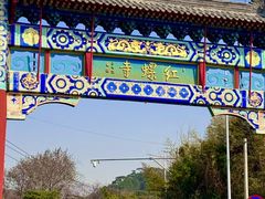 -向外鱼乐·土菜·虹鳟鱼