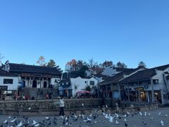 -九华山风景区