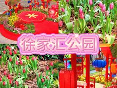 景点-徐家汇公园