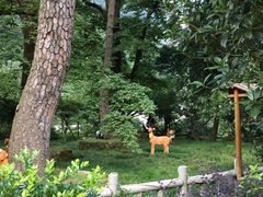 -黄山温泉国际旅游度假区