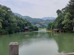 -洪崖丹井