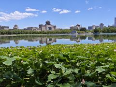 -莲花池公园