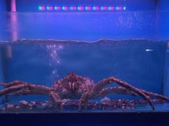 -月下料理(楷林IFC店)