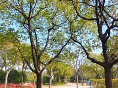 -新江湾城公园