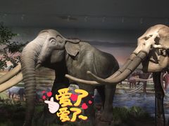 -湖南省地质博物馆