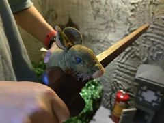 -逃脱反斗城沉浸剧情密室(北京路店)