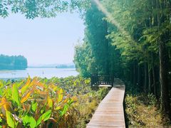 -东湖落雁景区
