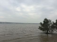 -宝安西湾红树林湿地公园