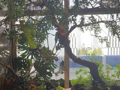 -海立阁海鲜江浙菜(漕河泾印象城店)