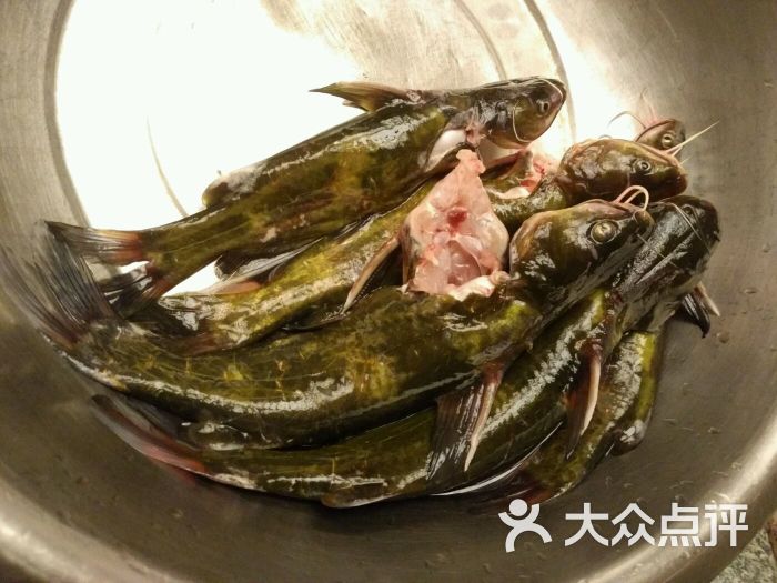 嘎魚