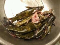嘎鱼-忆乡情铁锅炖鱼饭店(延庆店)