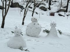 -秦岭终南山世界地质公园翠华山景区