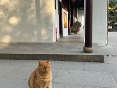 -西园戒幢律寺