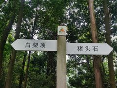 -火炉山森林公园