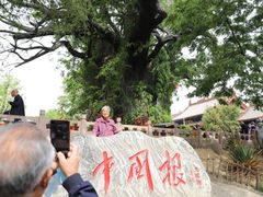 -大槐树寻根祭祖园
