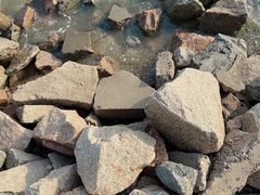 -深圳湾公园(南山区)