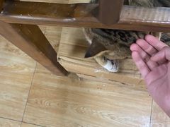 -老味茶屋(川沙老街店)