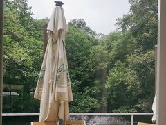 -芭厘农庄老字号·清远鸡