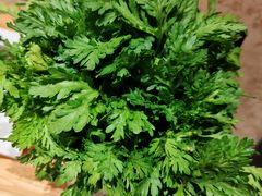-蜀九香火锅(彩虹店)