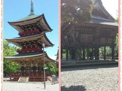 -成田山新胜寺