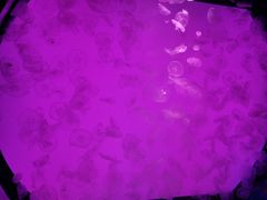 -沈阳海洋探索中心