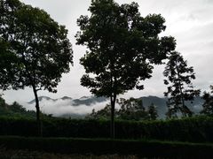 -梅州雁山湖国际花园度假区