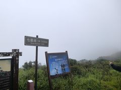 -大围山国家森林公园