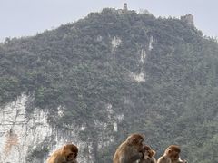 -重庆云阳龙缸景区