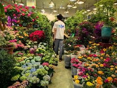 -双季花艺园艺市场(浦东店)