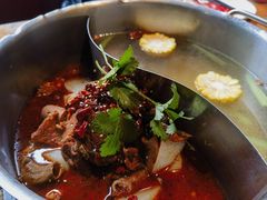 -牛很鲜潮汕牛肉火锅(朝晖路店)