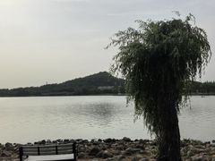 -上海月湖雕塑公园