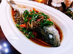 清蒸七星小白鲈-乾园.魏庐湖景餐厅(花港店)