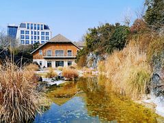 -上海吴淞炮台湾国家湿地公园