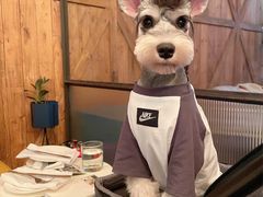 -the rug 飞毯 (朝阳公园店)