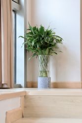 -酉嘉瑜伽YO+YOGA