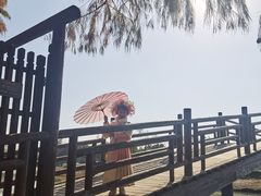 -乌村