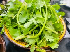 香菜-聚品石锅鱼(吉祥家园中宜苑店)