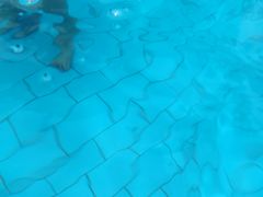 -重庆海昌加勒比海水世界