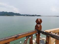 -望湖烤鱼