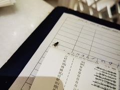 -衡山汇·高级粤菜(霄云路店)